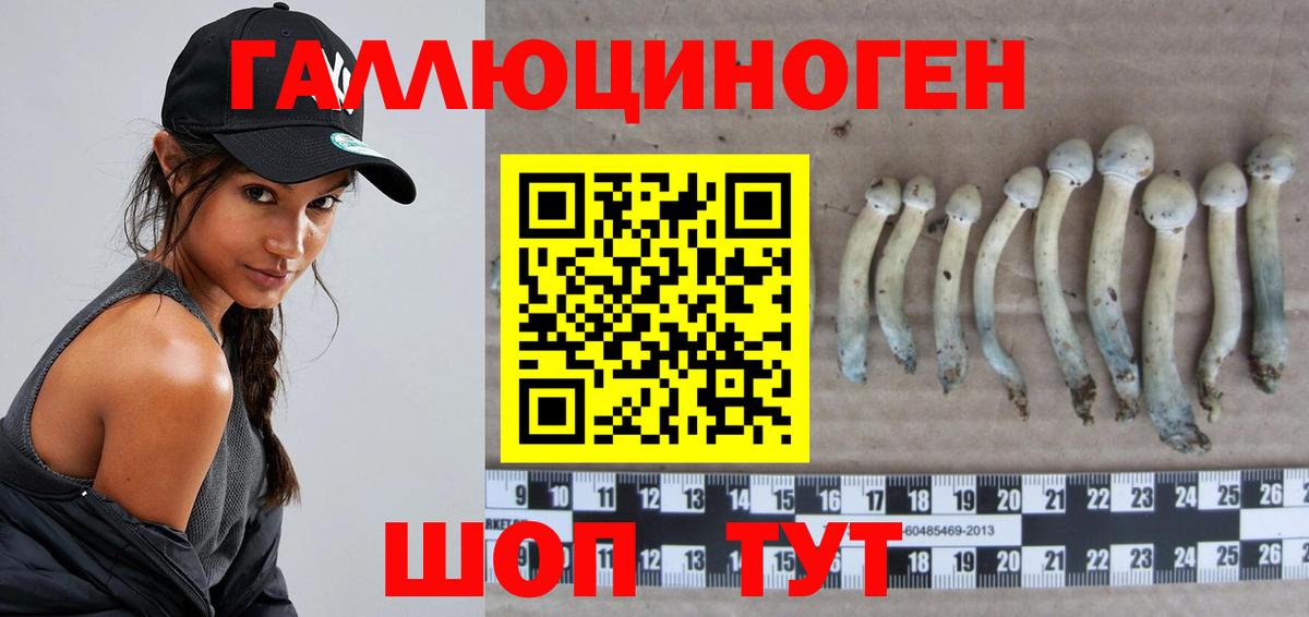 Псилоцибиновые грибы мицелий Кизляр