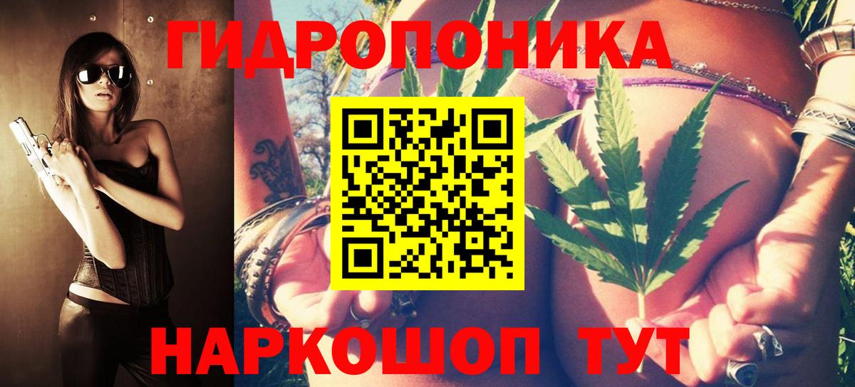 Канабис Bruce Banner Кизляр